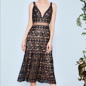 Tadashi Shoji LEIGH TEA-LENGTH DRESS